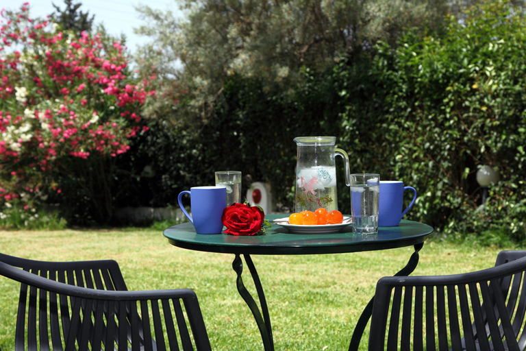 Public Area, Summer House Louisa, Ionian Islands