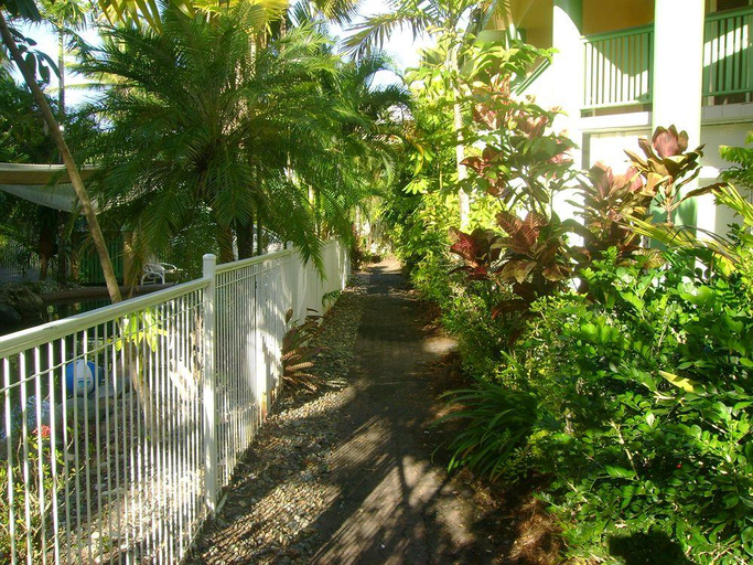 Others 5, A Tropical Nite, Douglas