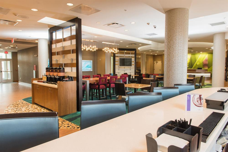 Public Area 3, Springhill Suites Buffalo Airport, Erie