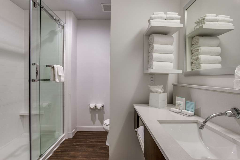 Bathroom 4, Hampton Inn & Suites Dallas-Central Expy North P, Dallas