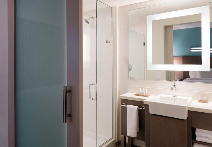 Bathroom 5, Residence Inn San Diego Downtown/Bayfront, San Diego