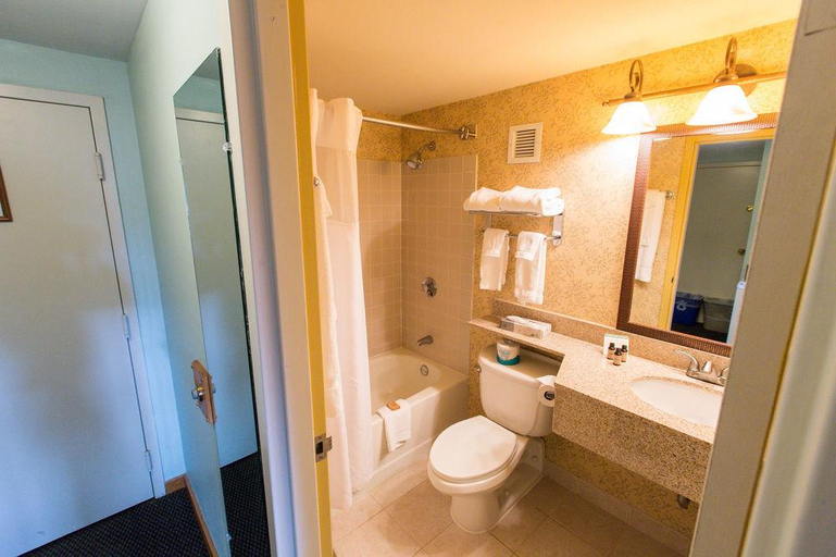 Bathroom 3, Sugarloaf Mountain Hotel, Franklin