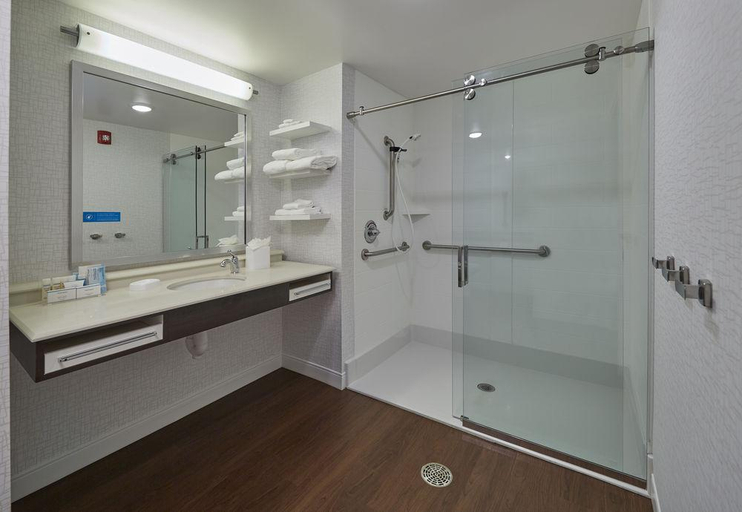 Bathroom 4, Hampton Inn and Suites Hood River, OR, Hood River