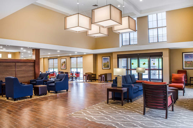 Public Area 2, Comfort Suites Manheim - Lancaster, Lancaster
