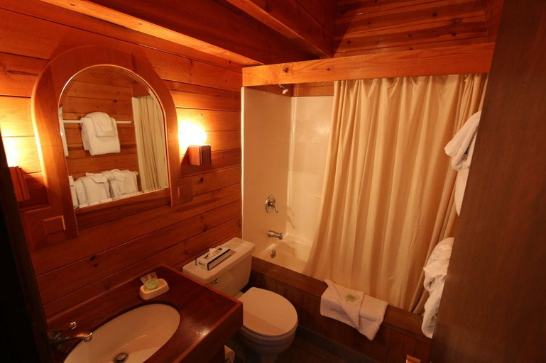 Bathroom 4, The Ridge Sierra, Douglas