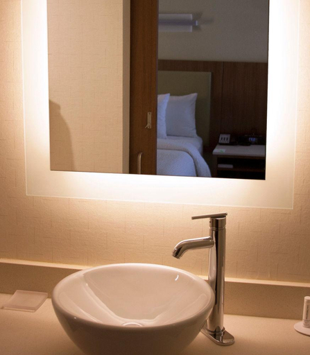 Bathroom 3, Springhill Suites Corpus Christi, Nueces