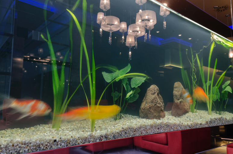 Public Area 4, Agua de Mar Hotel Boutique, Pontevedra