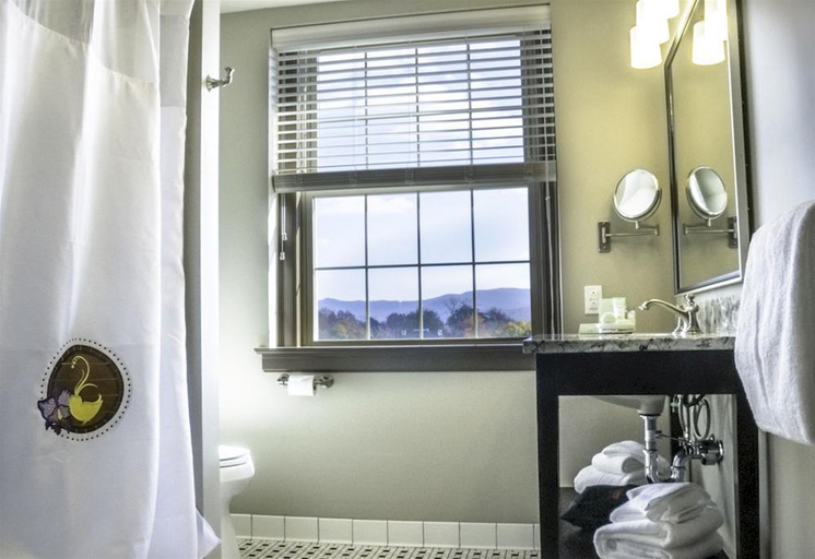 Bathroom 4, The Bolling Wilson Hotel, Wythe