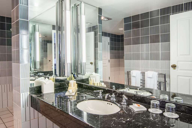 Bathroom 4, The Tremont House, Galveston