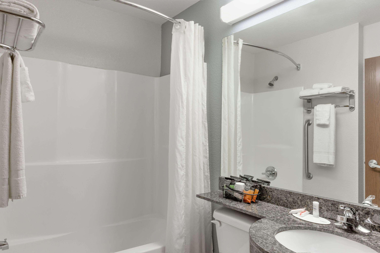 Bathroom 4, Microtel Inn & Suites by Wyndham Hoover/Birmingham, Jefferson