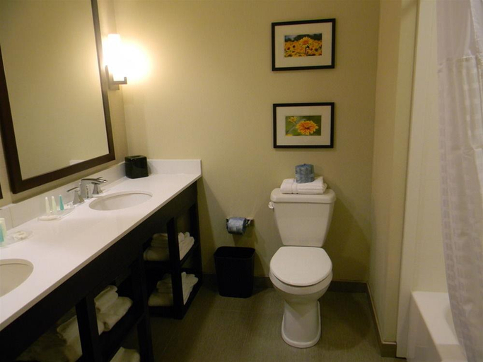 Bathroom 4, Comfort Suites Youngstown North, Trumbull