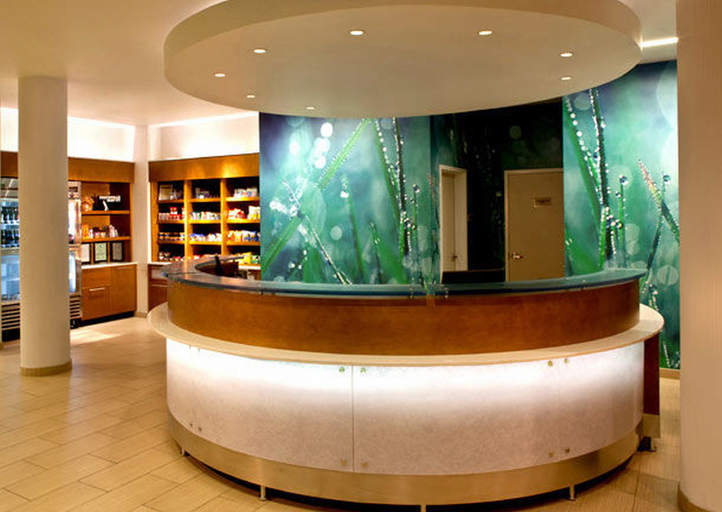 Public Area 2, SpringHill Suites Huntsville Downtown, Madison