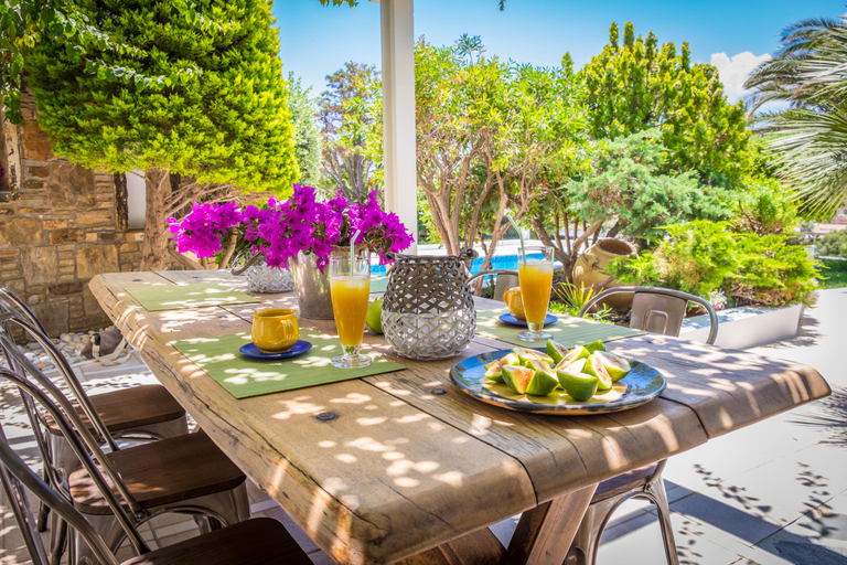 Food & Drinks, Montana Villa, South Aegean