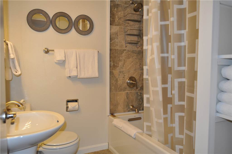 Bathroom, Gros Ventre , Teton