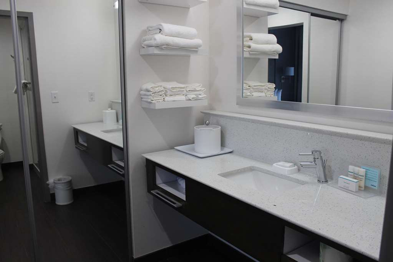 Bathroom 5, Hampton Inn & Suites Guthrie, Logan