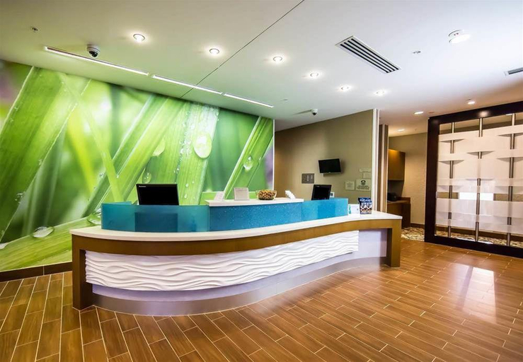 Public Area 3, SpringHill Suites Lumberton, Robeson
