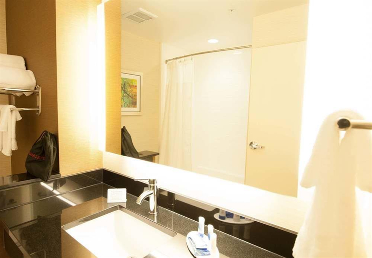 Bathroom 2, Fairfield Inn & Suites Enterprise, Coffee
