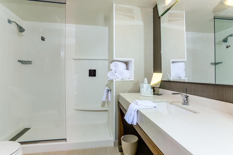 Bathroom 1, Courtyard Lake Charles, Calcasieu