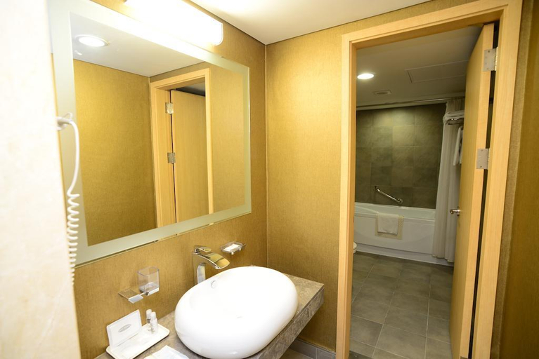 Bathroom 5, Young Dong Hotel, Gangnam