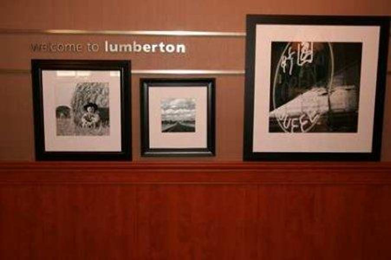 Public Area 2, Hampton Inn Lumberton, Robeson