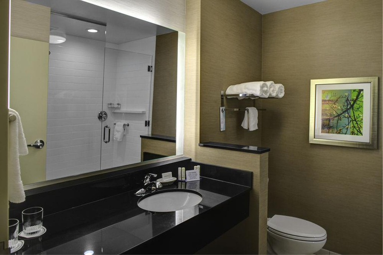 Bathroom 4, Fairfield Inn & Suites Douglas, Coffee