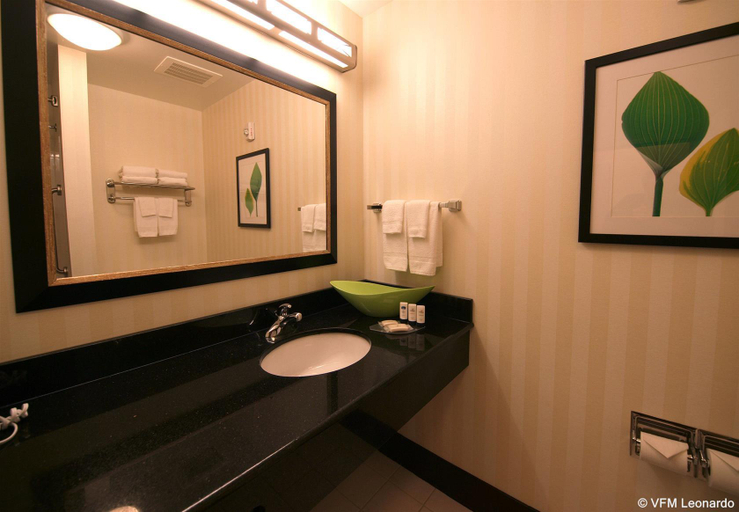Bathroom 5, Fairfield Inn & Suites Cookeville, Putnam