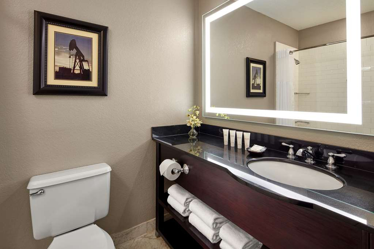 Bathroom 5, Hyatt Regency Tulsa Downtown, Tulsa