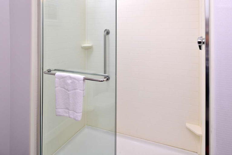 Bathroom 4, Hampton Inn & Suites Ann Arbor West, Washtenaw