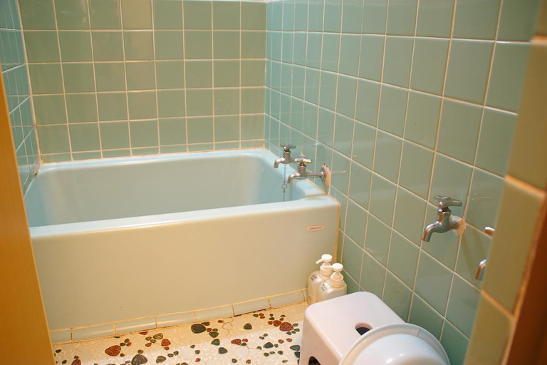 Bathroom 4, Itaniya, Sakurai