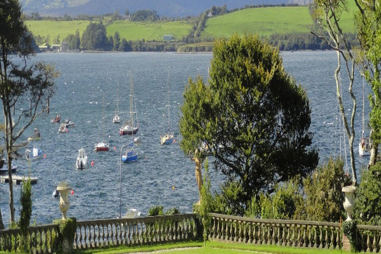 Others 4, Doire Liath