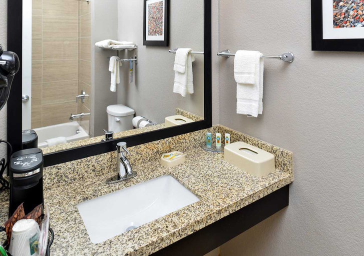 Bathroom, Quality Inn & Suites Cotulla I-35, La Salle
