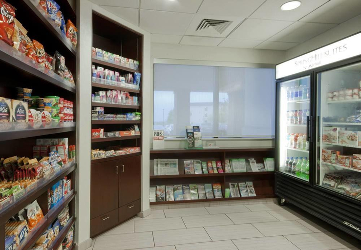 Public Area 3, SpringHill Suites Grand Rapids North, Kent