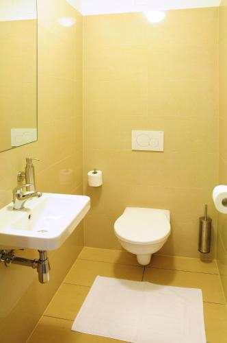 Apartmány Rokytka Snowhouse, Semily