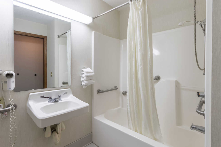 Bathroom 4, Rodeway Inn, Wood