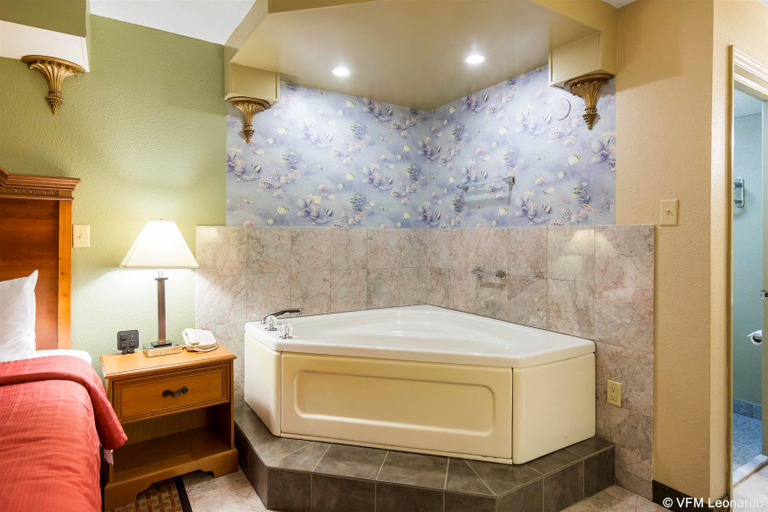 Bathroom, Quality Inn South Hill Area, Mecklenburg