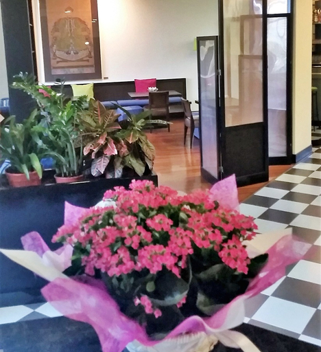 Public Area 3, Verdemilia Hotel, Bologna