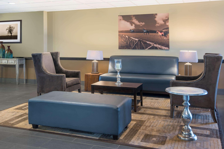 Public Area 2, Wyndham Garden Texarkana, Bowie
