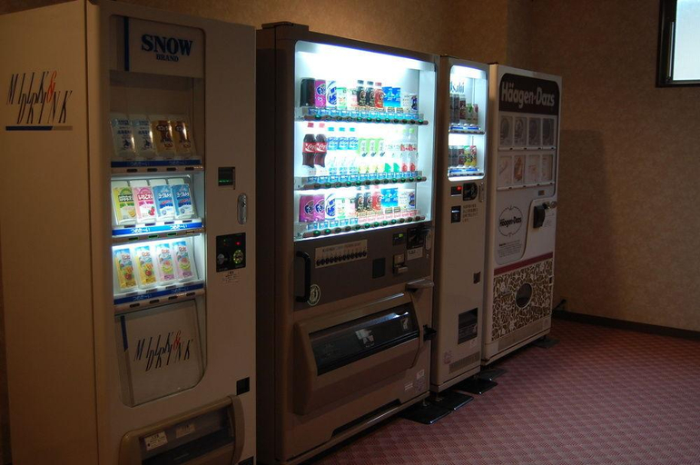 Public Area 4, Hakuba Hotel Oak Forest, Hakuba