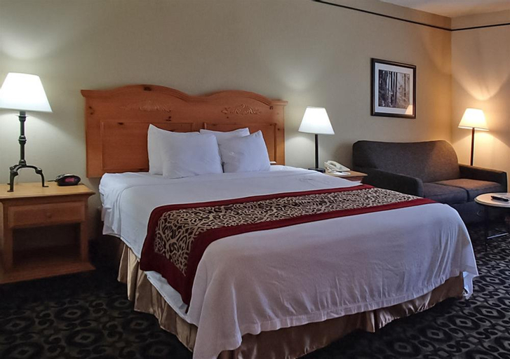 Quality Inn & Suites Boone - University Area, Watauga