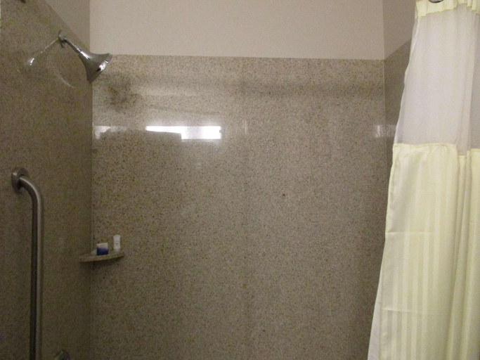 Bathroom 4, Best Western Plus Denver City Hotel & Suites, Yoakum