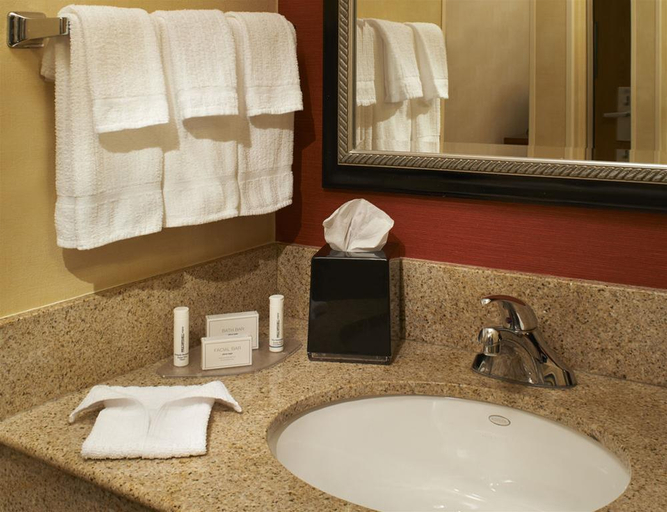 Bathroom, Courtyard Des Moines West/Clive, Polk