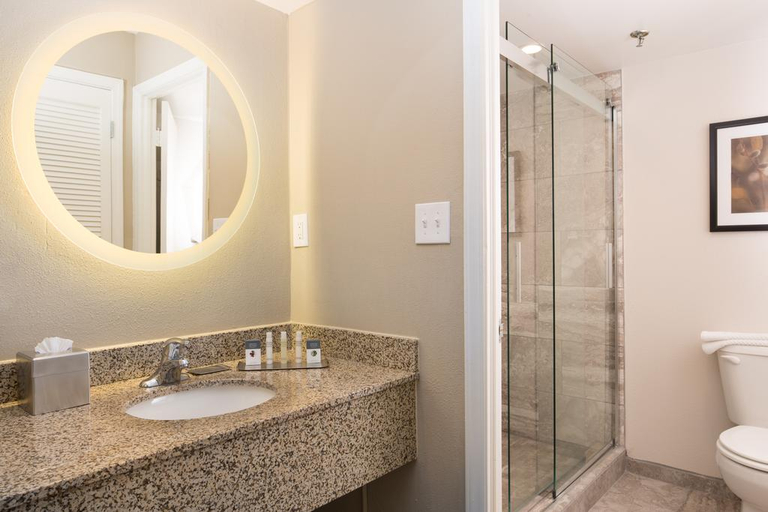 Bathroom 5, Doubletree By Hilton Laurel, Prince George's