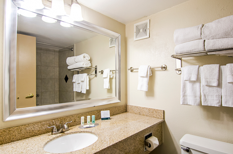 Bedroom 2, Quality Inn & Suites Denver Stapleton, Denver