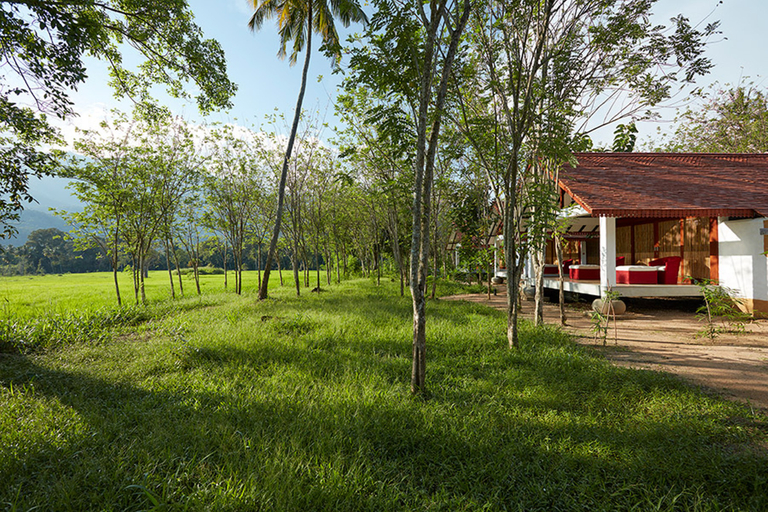 Exterior & Views 3, Jetwing Kaduruketha, Wellawaya