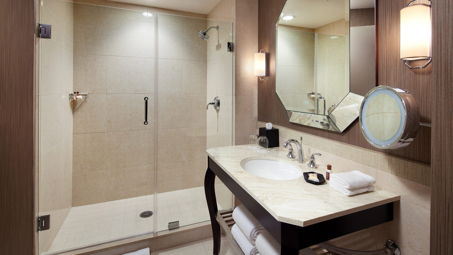 Bathroom 5, Sheraton McKinney Hotel, Collin