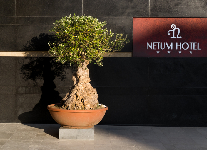 Public Area 3, Netum Hotel, Syracuse