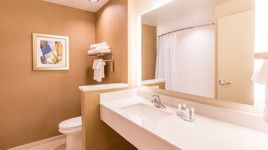 Bathroom 5, Fairfield Inn & Suites Atlanta Acworth, Cobb