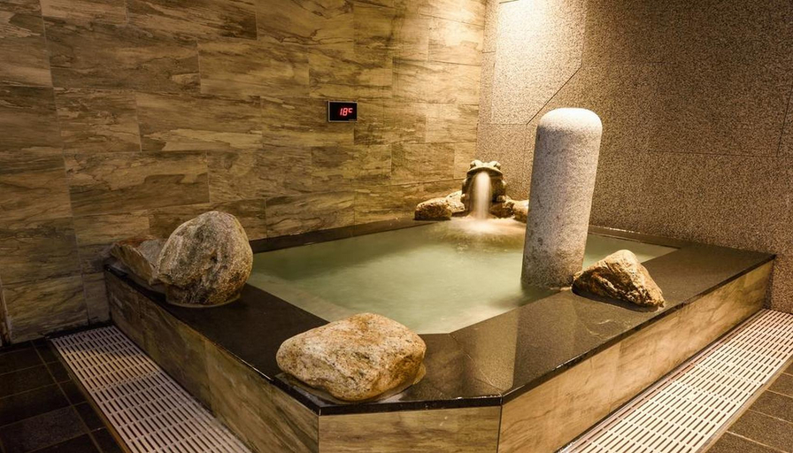 Sport & Beauty 2, Dormy Inn SEOUL Gangnam, Gangnam