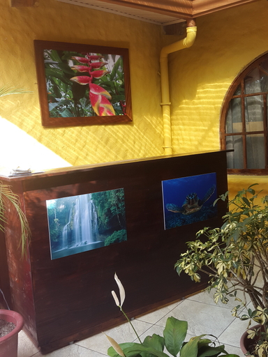 Public Area 4, Hospedaje Colibri, Aguirre