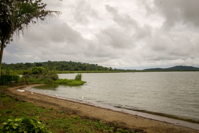 Others 5, Serenada Eco Resort, Lake Victoria